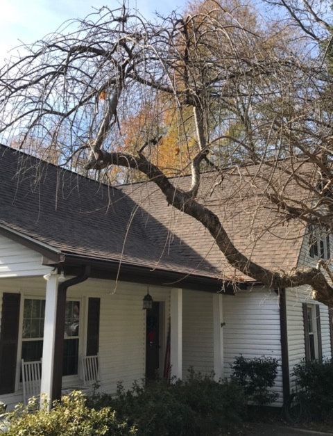 IKO Cambridge architectural shingle roofing project by MCI Roofing